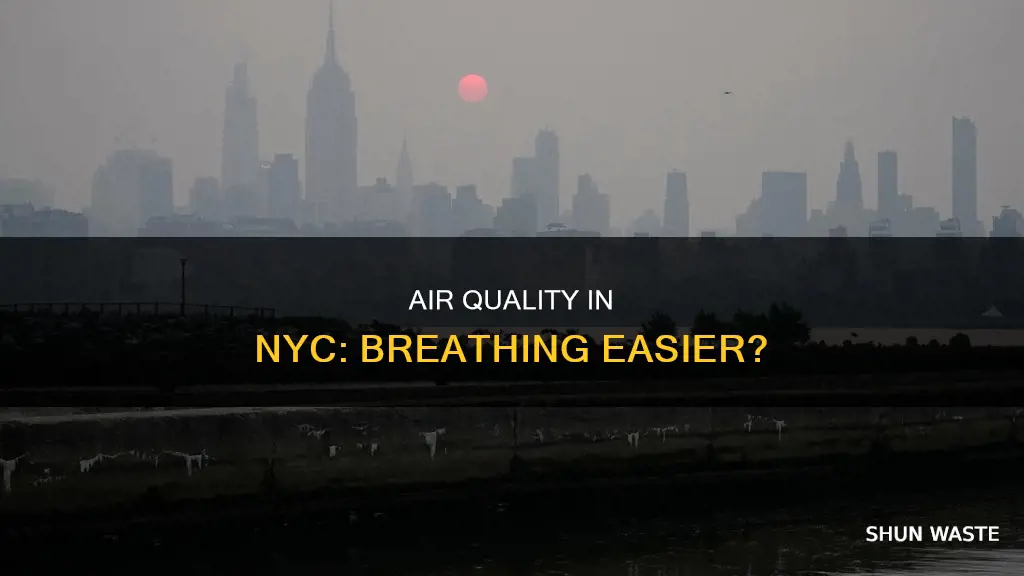 how much improvement nyc air pollution