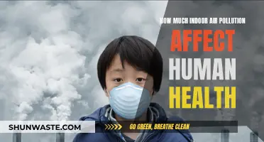 Air Pollution's Health Impact: The Invisible Danger Indoors