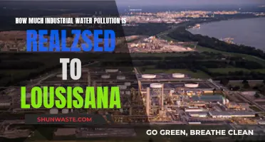 Louisiana's Industrial Water Pollution Crisis: A Deep Dive