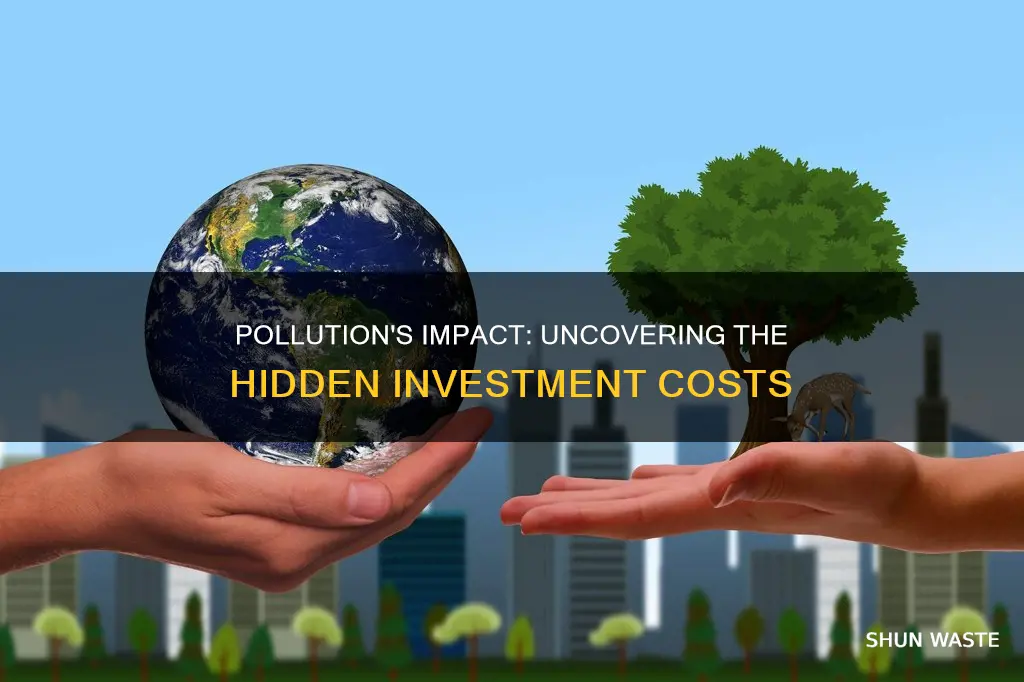 how much investment was caused by pollution