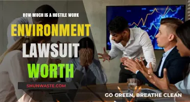 Hostile Work Environment Lawsuits: Understanding Potential Compensation and Value