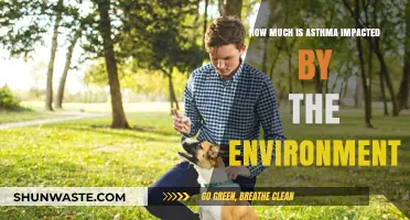 Environmental Factors and Their Impact on Asthma Severity