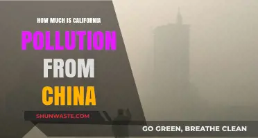 California's Pollution: China's Impact and Influence