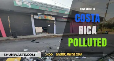 Costa Rica's Pollution Problem: A Comprehensive Overview