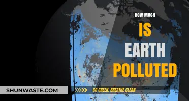 The Earth's Pollution Crisis: A Global Emergency