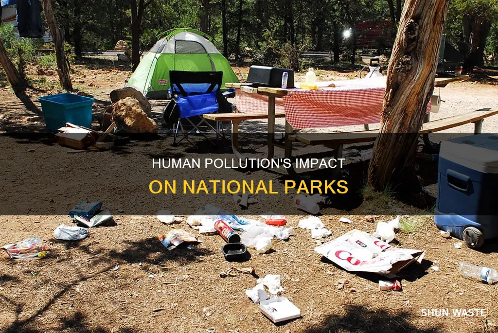 how much is human pollution affecting national parks