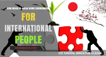 Exploring Japan’s Work Environment for International Professionals: Challenges & Opportunities