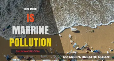 The Devastating Cost of Marine Pollution