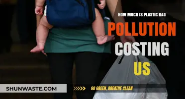 Plastic Bag Pollution: A Costly Environmental Disaster