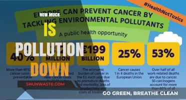 Air Pollution: A Declining Global Threat?