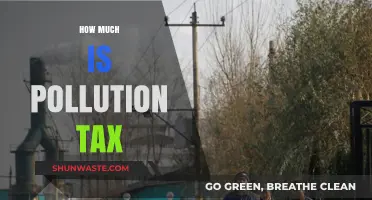 Pollution Tax: What's the Cost of Emitting?