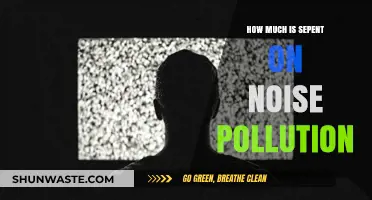 The Cost of Noise Pollution: A Global Concern