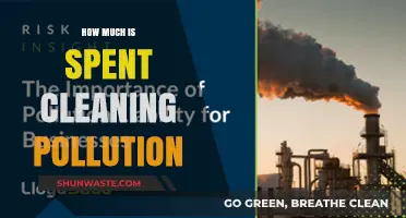 The Cost of Cleaning Pollution: A Global Expense