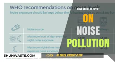 The Cost of Noise Pollution: A Global Concern