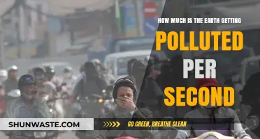 The Earth's Pollution Crisis: Every Second Counts