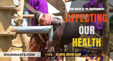 Environmental Impact on Health: Uncovering Hidden Threats and Solutions