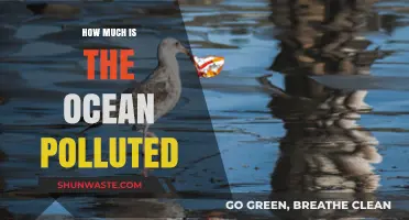 The Ocean's Pollution Crisis: A Global Emergency