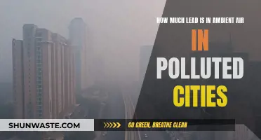Air Lead Levels in Polluted Cities: A Concern?