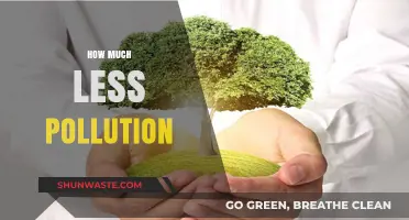 Reducing Pollution: How Much Less is Enough?