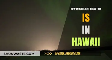 Hawaii's Night Sky: Illuminating Light Pollution