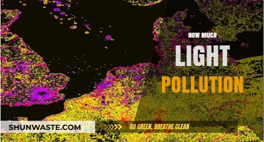 Light Pollution: Illuminating the Dark Side