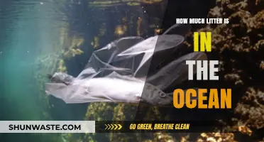 The Ocean's Plastic Pollution Crisis