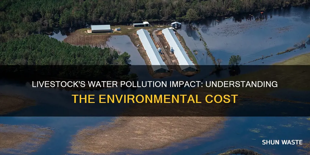 how much livestock contribute to water pollution