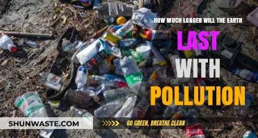 The Earth's Lifespan: Pollution's Impact