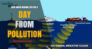 The Devastating Impact of Pollution on Marine Life