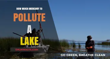 Mercury's Impact: Polluting a Lake