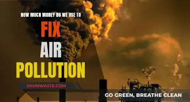 Fixing Air Pollution: What's the Financial Cost?