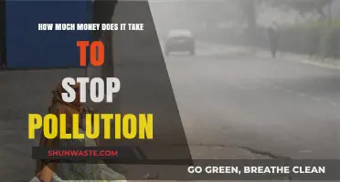 Ending Pollution: What's the Price Tag?