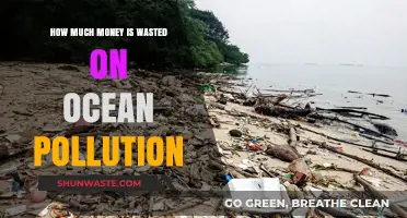 The Costly Impact of Ocean Pollution