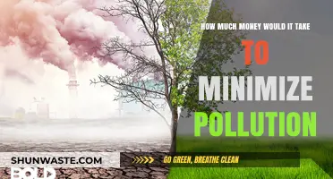 Money Talks: Minimizing Pollution, Priceless?