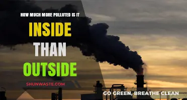 Air Quality Alert: Pollution Inside vs Outside