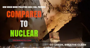 Coal vs Nuclear: Pollution Output Compared