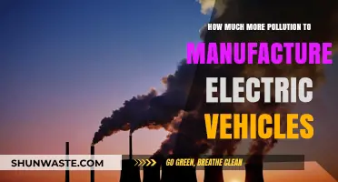 The Dark Side of Electric Vehicles: Pollution in Manufacturing