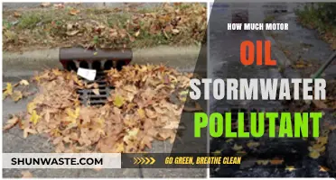 The Impact of Stormwater Pollution from Motor Oil