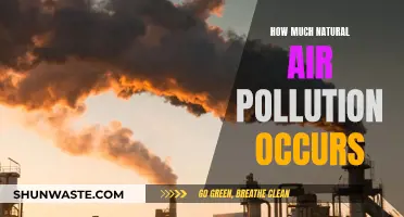 Natural Air Pollution: What's the Real Extent?