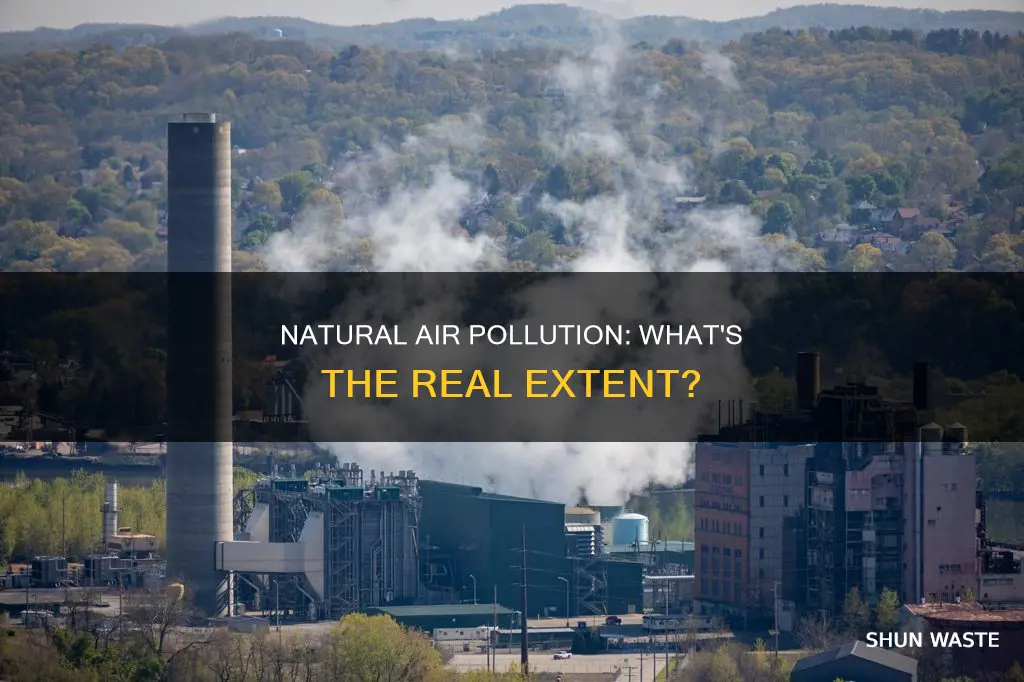 how much natural air pollution occurs