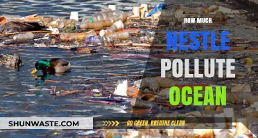 Nestle's Ocean Pollution: The Devastating Impact and Solutions