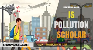 Understanding Noise Pollution: A Scholarly Perspective