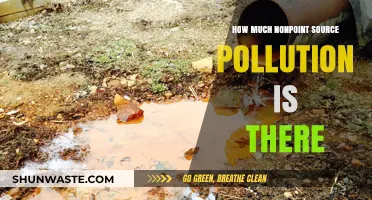 Understanding Nonpoint Source Pollution's Extensive Reach