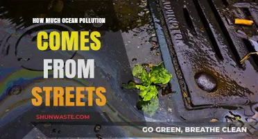 Street Runoff: Ocean Pollution's Unseen Source