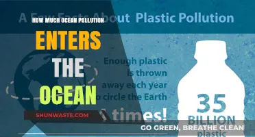 The Ocean's Pollution Problem: Quantifying Marine Debris