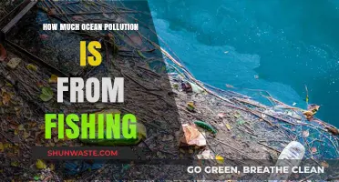 The Devastating Impact of Fishing on Ocean Pollution