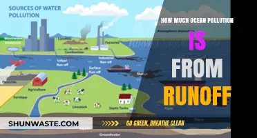 The Devastating Impact of Runoff on Our Oceans