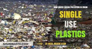 The Devastating Impact of Single-Use Plastics on Our Oceans