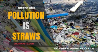 Straws: Ocean Pollution's Unseen Culprits