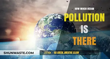The Ocean's Pollution Crisis: A Global Emergency